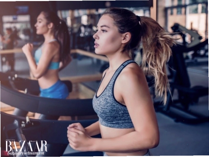 Biểu đồ so sánh lượng calo đốt cháy giữa các bài tập cardio khác nhau trong 30 phút