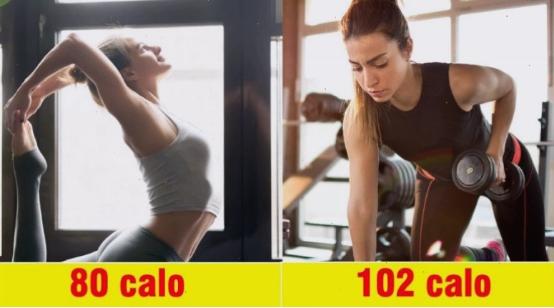 Biểu đồ so sánh lượng calo đốt cháy giữa Yoga và Gym