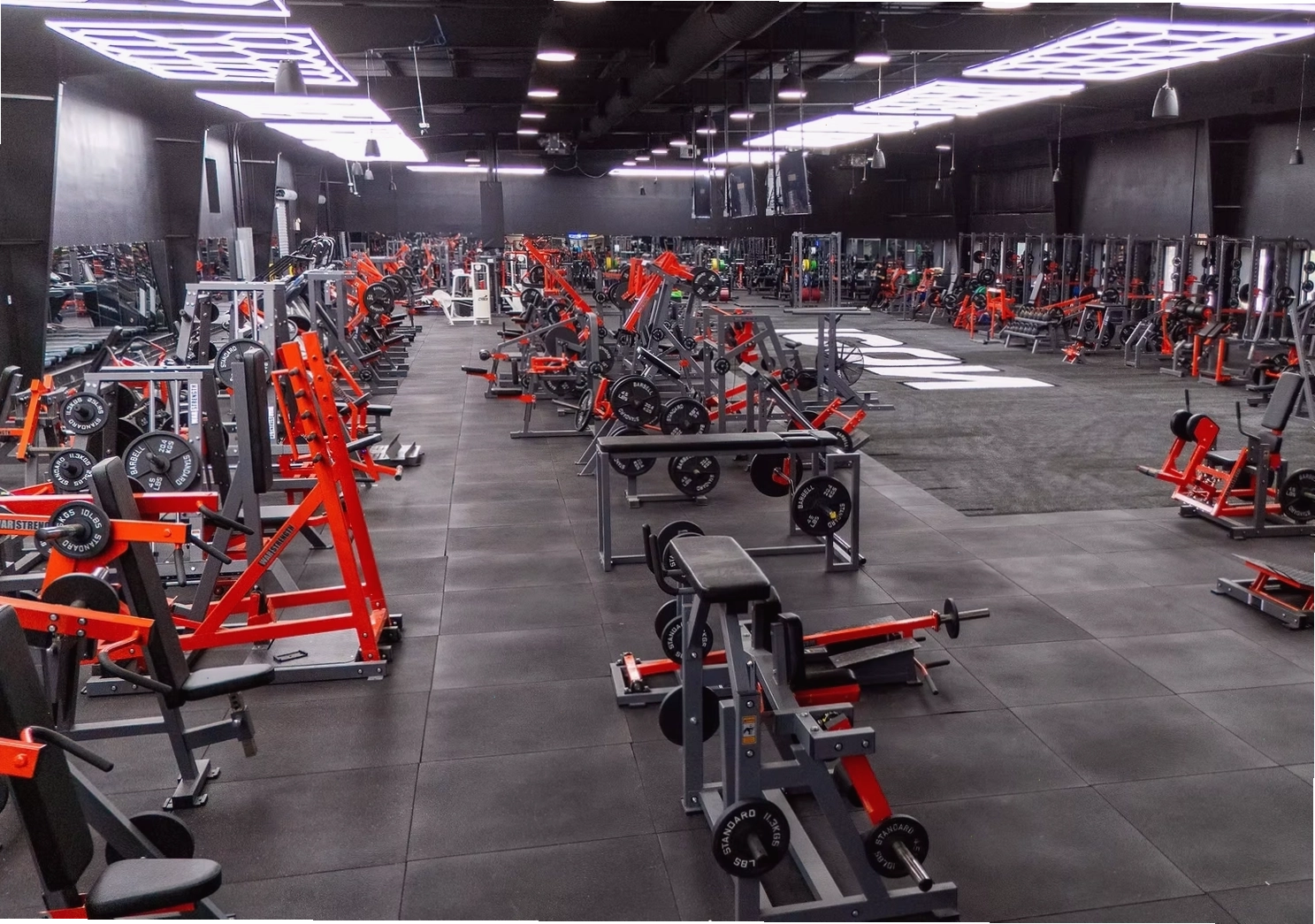 Biểu tượng icon gym đa dạng về dụng cụ tập luyện