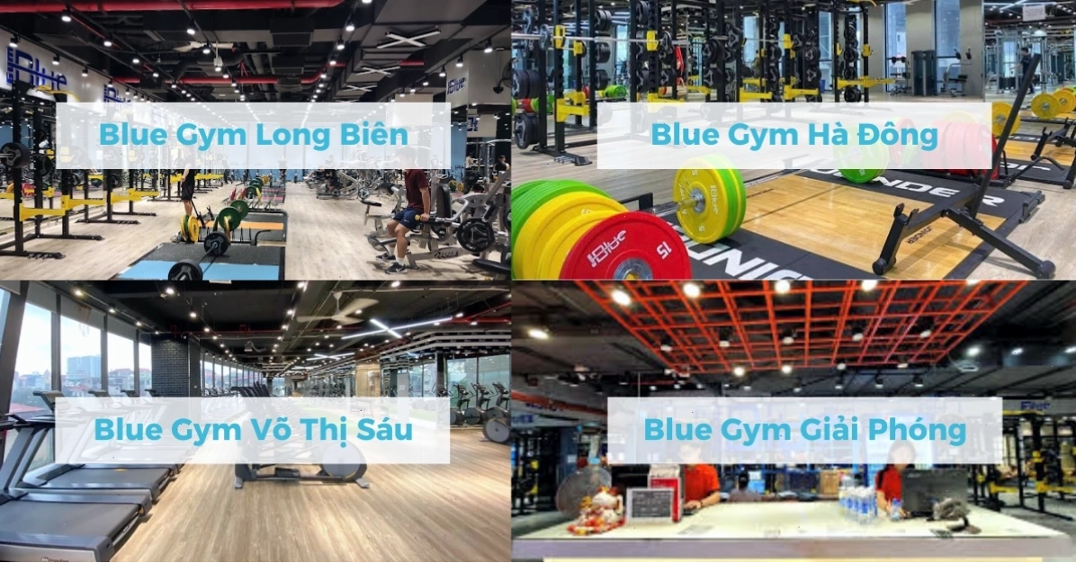 Blue Gym có 4 chi nhánh được đầu tư đồng bộ