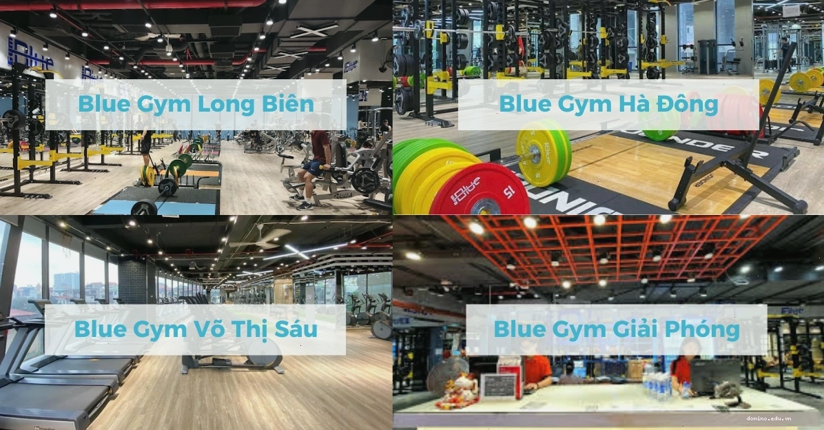 Blue Gym có 4 chi nhánh được đầu tư đồng bộ về trang thiết bị và không gian tập luyện