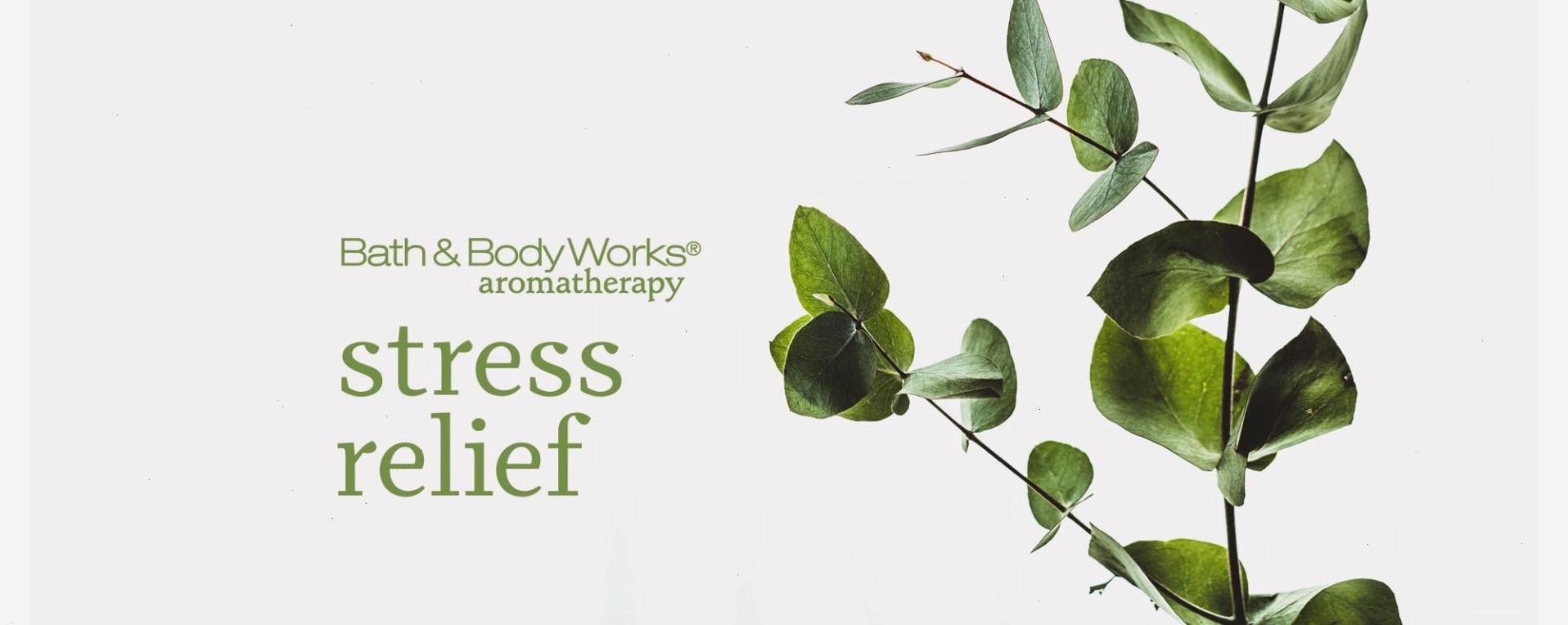 Bộ sản phẩm Bath & Body Works Aromatherapy Stress Relief