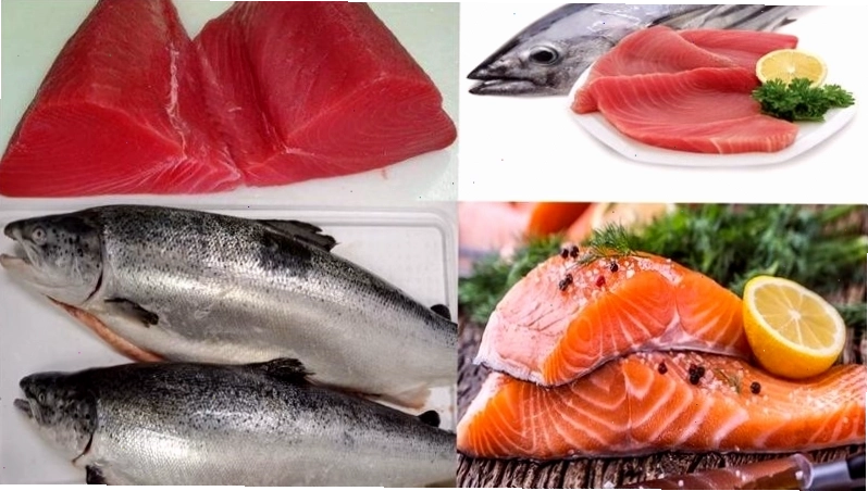 Bổ sung các loại cá béo để đa dạng thực đơn giảm cân