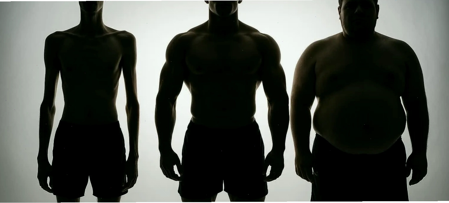 Body build của người mẫu nam dáng Ectomorph