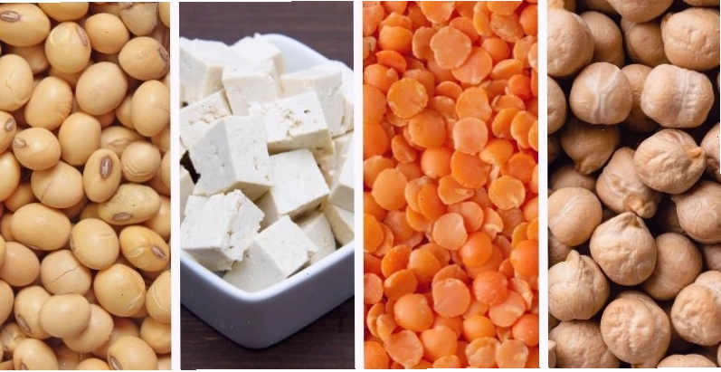 Bột protein thực vật giúp bổ sung lượng đạm cần thiết cho gymer ăn chay