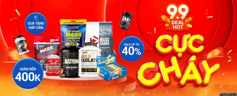 Bột Tăng Cơ Tập Gym: Hướng Dẫn Chọn Lựa Và Sử Dụng Hiệu Quả Năm 2026