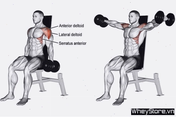 Bữa ăn giàu dinh dưỡng cho người gầy tập gym
