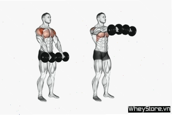 Bữa ăn giàu protein và rau xanh tốt cho việc xây dựng cơ bắp