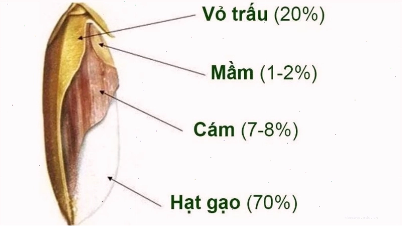 Bún gạo lứt giữ trọn vẹn chất dinh dưỡng từ lớp cám và mầm gạo