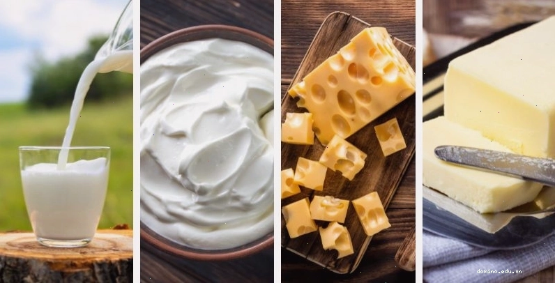 Cá hồi là nguồn protein tuyệt vời cho người ăn chay có cá