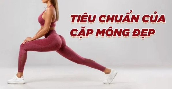 Các Bài Tập Mông Cho Nữ Tại Nhà Giúp Tăng Vòng 3 Căng Tròn