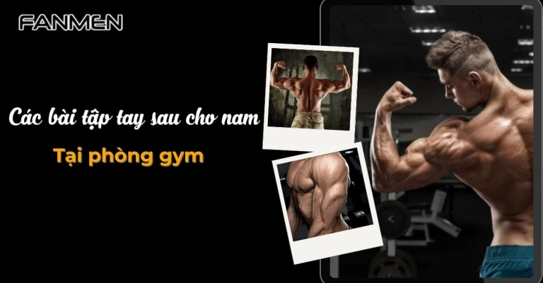Các Bài Tập Tay Sau Cho Nam Tối Ưu Hiệu Quả Năm 2026