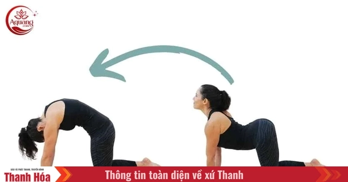Các Bài Tập Yoga Hiệu Quả Giúp Chữa Đau Lưng Vai Gáy