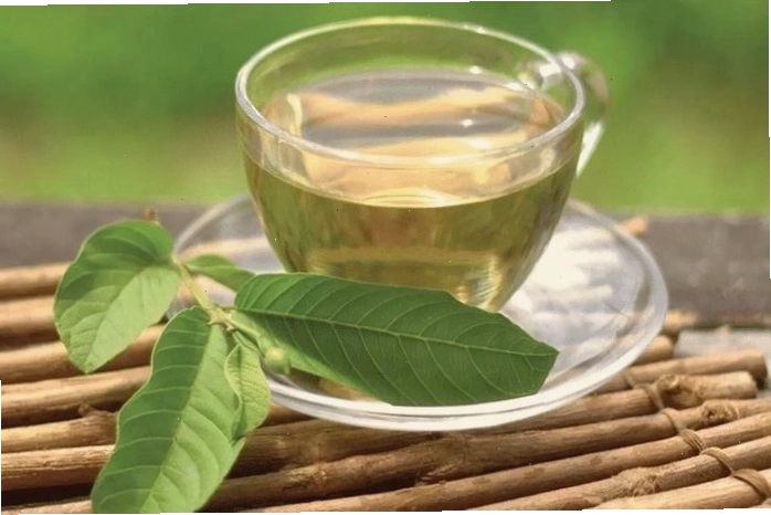 Các bước chuẩn bị lá ổi tươi, nước và dụng cụ để sắc nước lá ổi