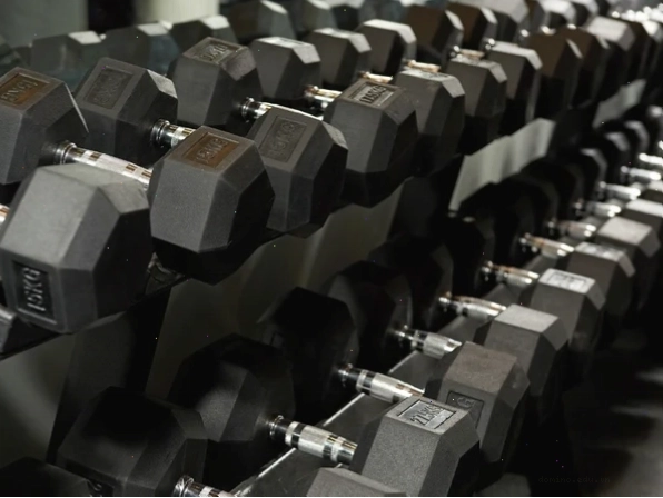 Các cặp tạ đơn Dumbbells với nhiều mức trọng lượng