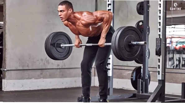 Các động tác tập gym cơ bản