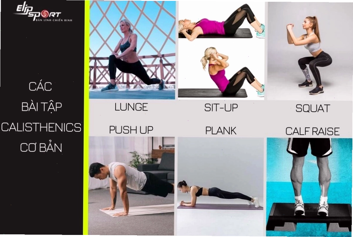 Các dụng cụ tập calisthenics phổ biến
