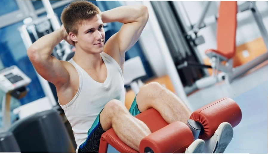 Các dụng cụ tập gym thông dụng như tạ đòn, tạ đơn, máy chạy bộ