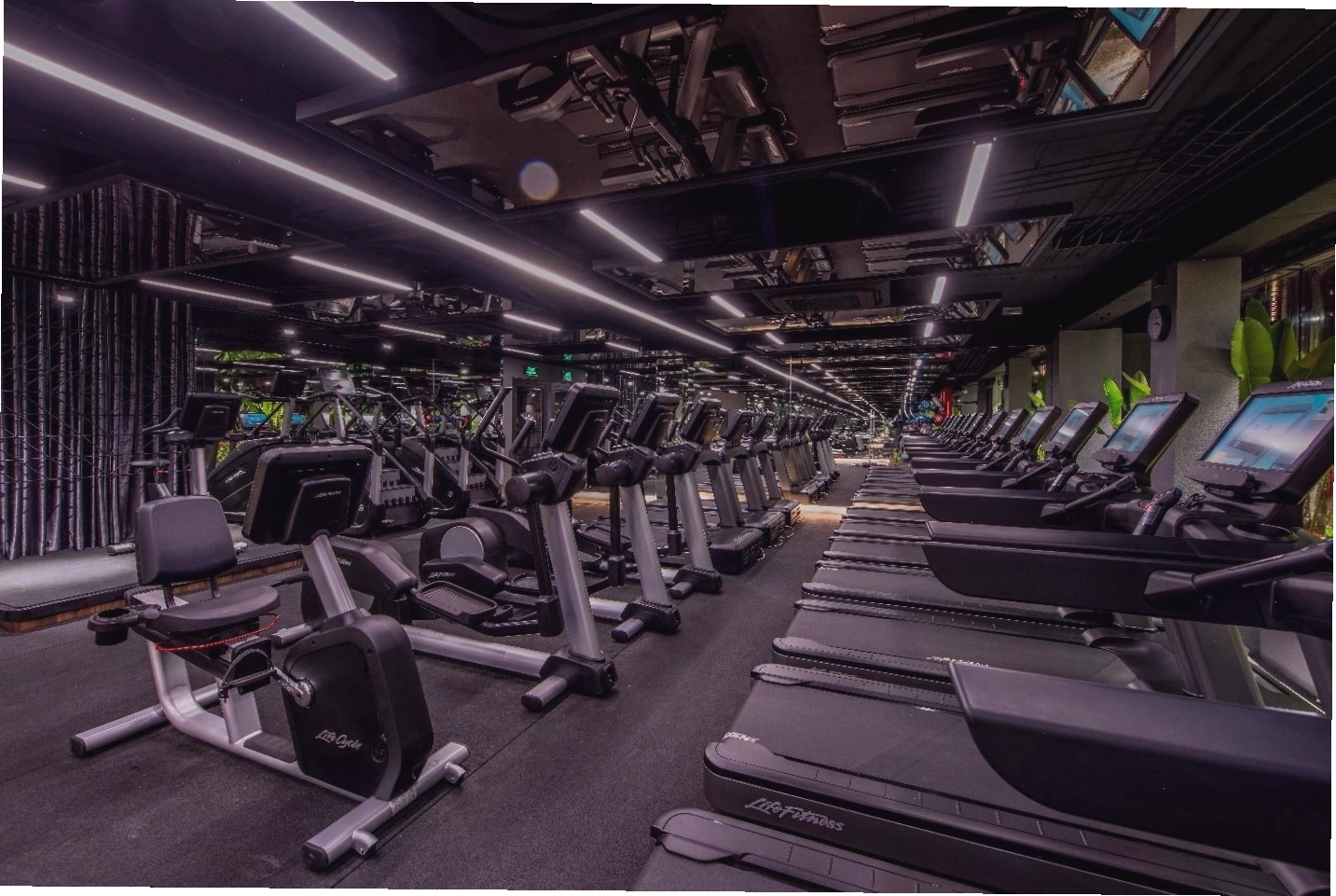 Các gói tập đa dạng tại Citigym