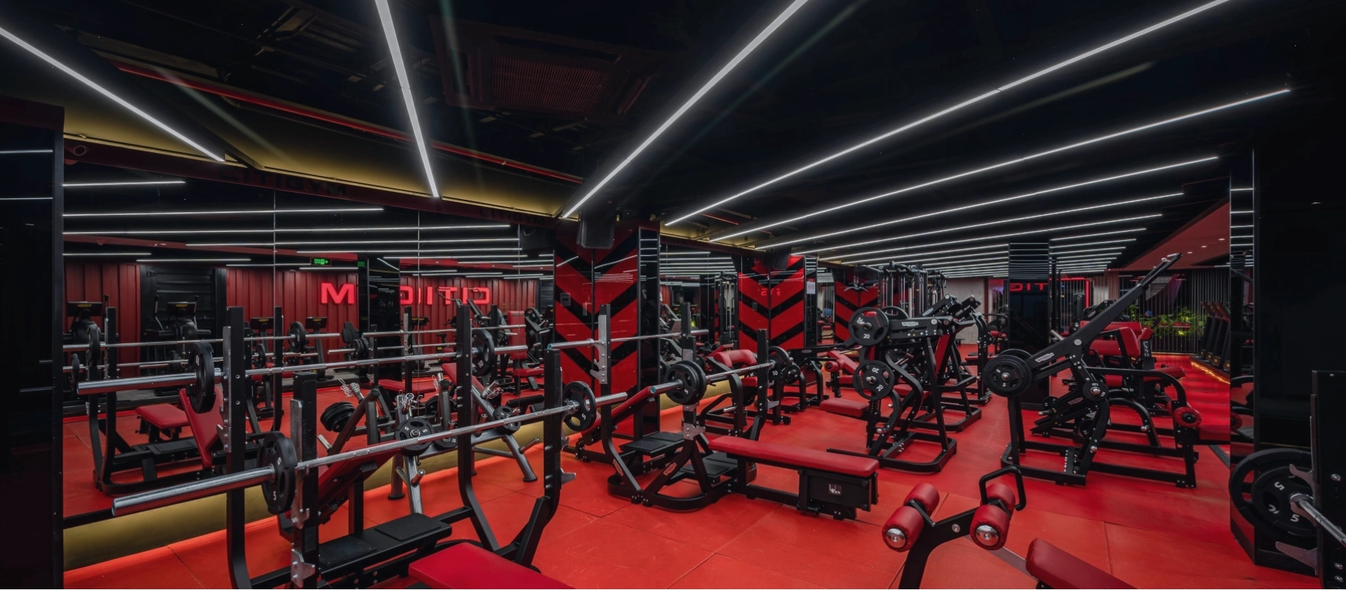 Các gói tập luyện tại Citigym