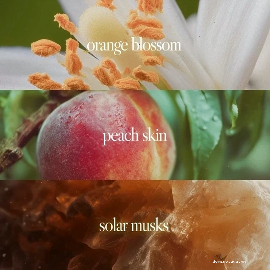 Các loại body mist phổ biến trên thị trường hiện nay