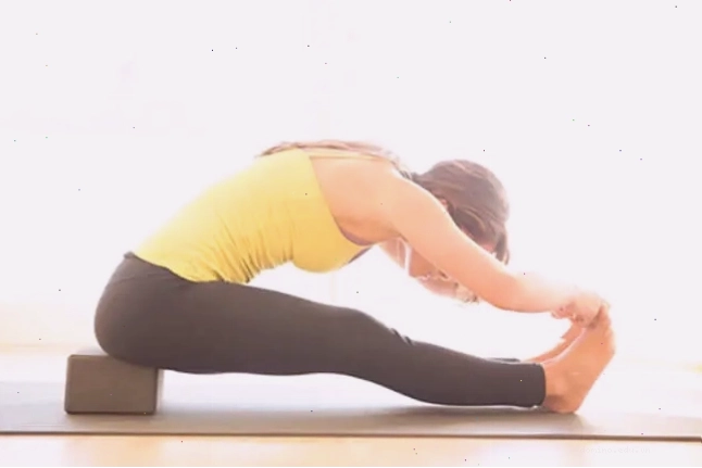 Các loại gạch tập yoga phổ biến trên thị trường