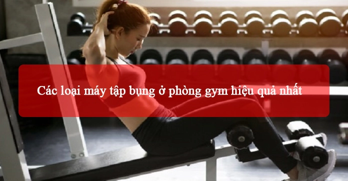 Các Loại Máy Tập Bụng Tốt Nhất Cho Mọi Phòng Gym Năm 2026
