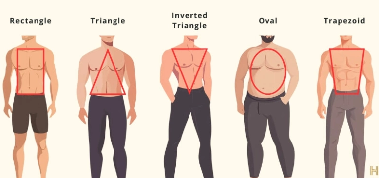 Các Loại Thể Hình Nam Giới Ectomorph, Mesomorph, Endomorph