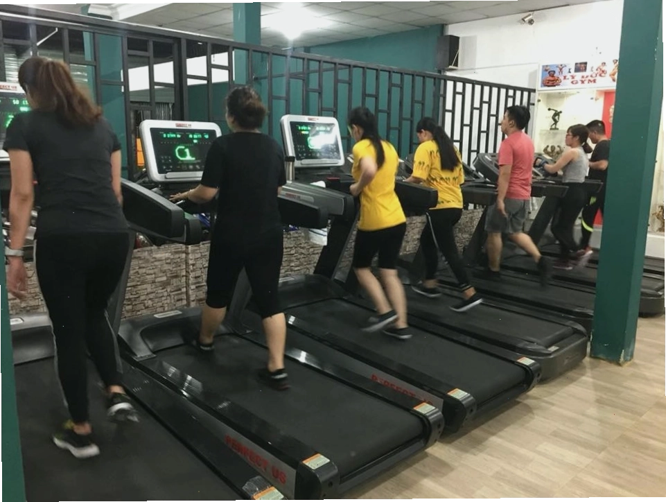 Các máy cardio tại Trung Nguyên Gym & Fitness