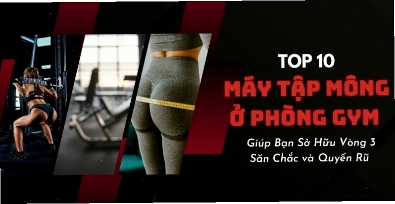 Các Máy Tập Mông Ở Phòng Gym Giúp Bạn Sở Hữu Vòng 3 Quyến Rũ