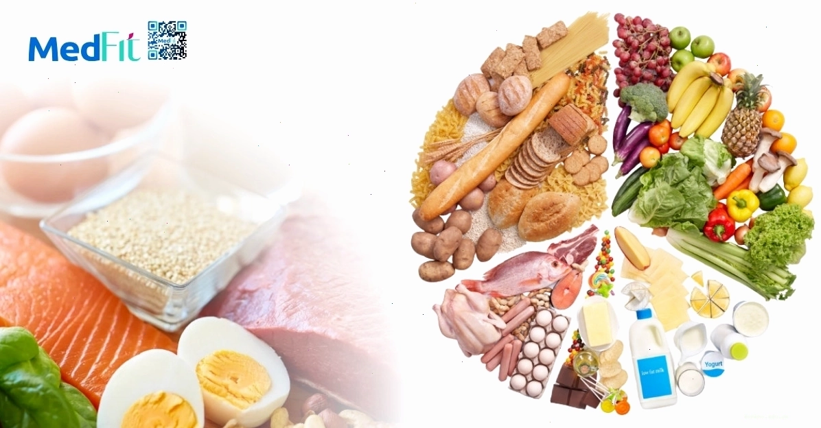 Các nhóm chất dinh dưỡng chính: đạm, đường bột và chất béo