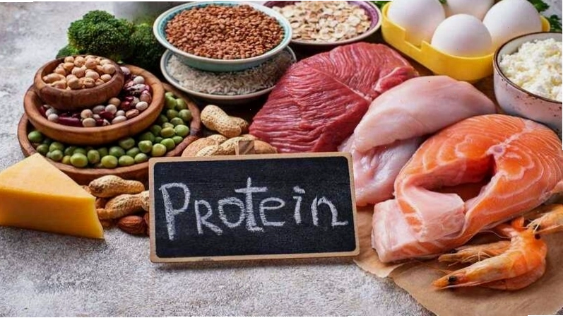 Các thực phẩm giàu chất đạm như thịt, trứng, cá