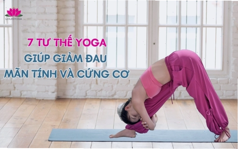 Các tư thế yoga giúp giảm đau lưng và cứng cơ
