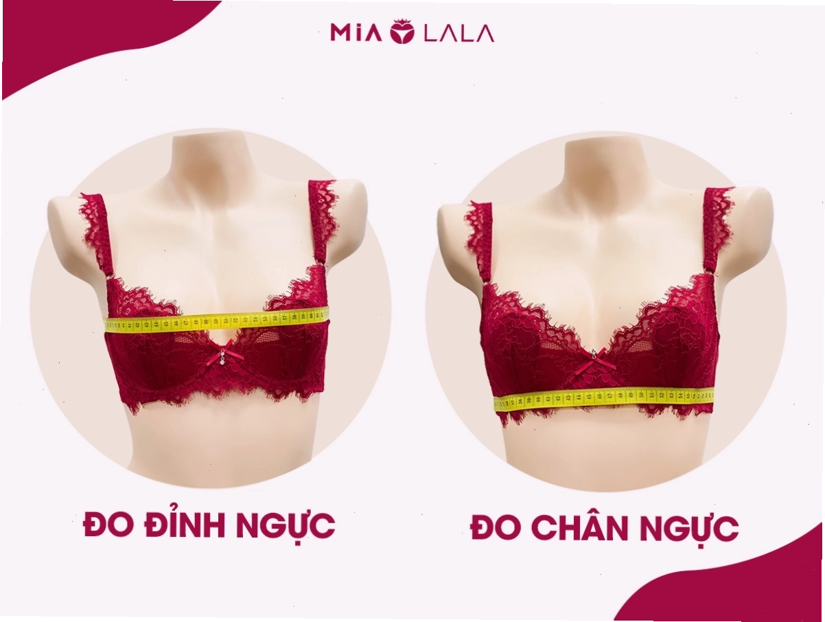 Cách đo vòng 1 chuẩn xác định size áo ngực