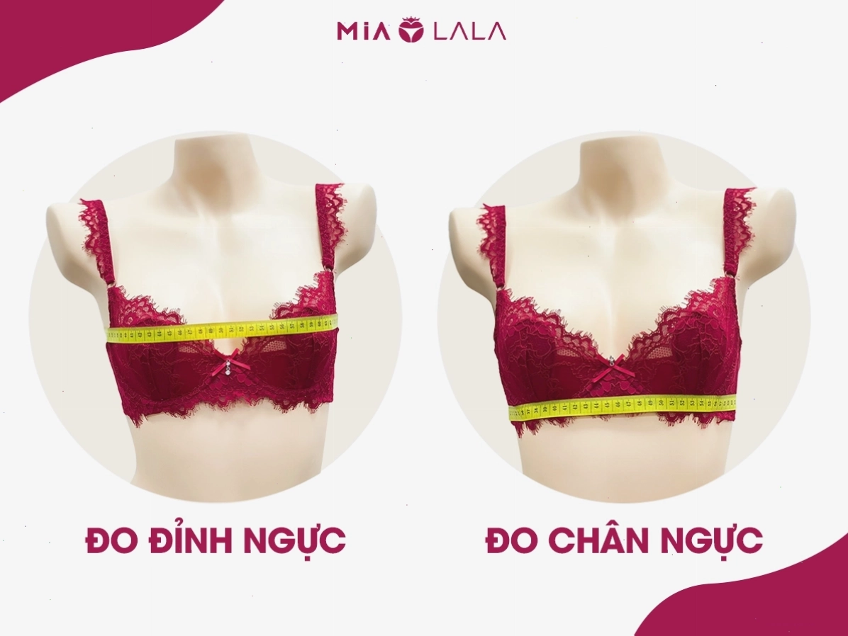 Cách đo vòng 1 để tính size áo ngực chuẩn