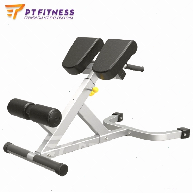 Cận cảnh cấu tạo ghế tập cơ lưng dưới Impulse IF45
