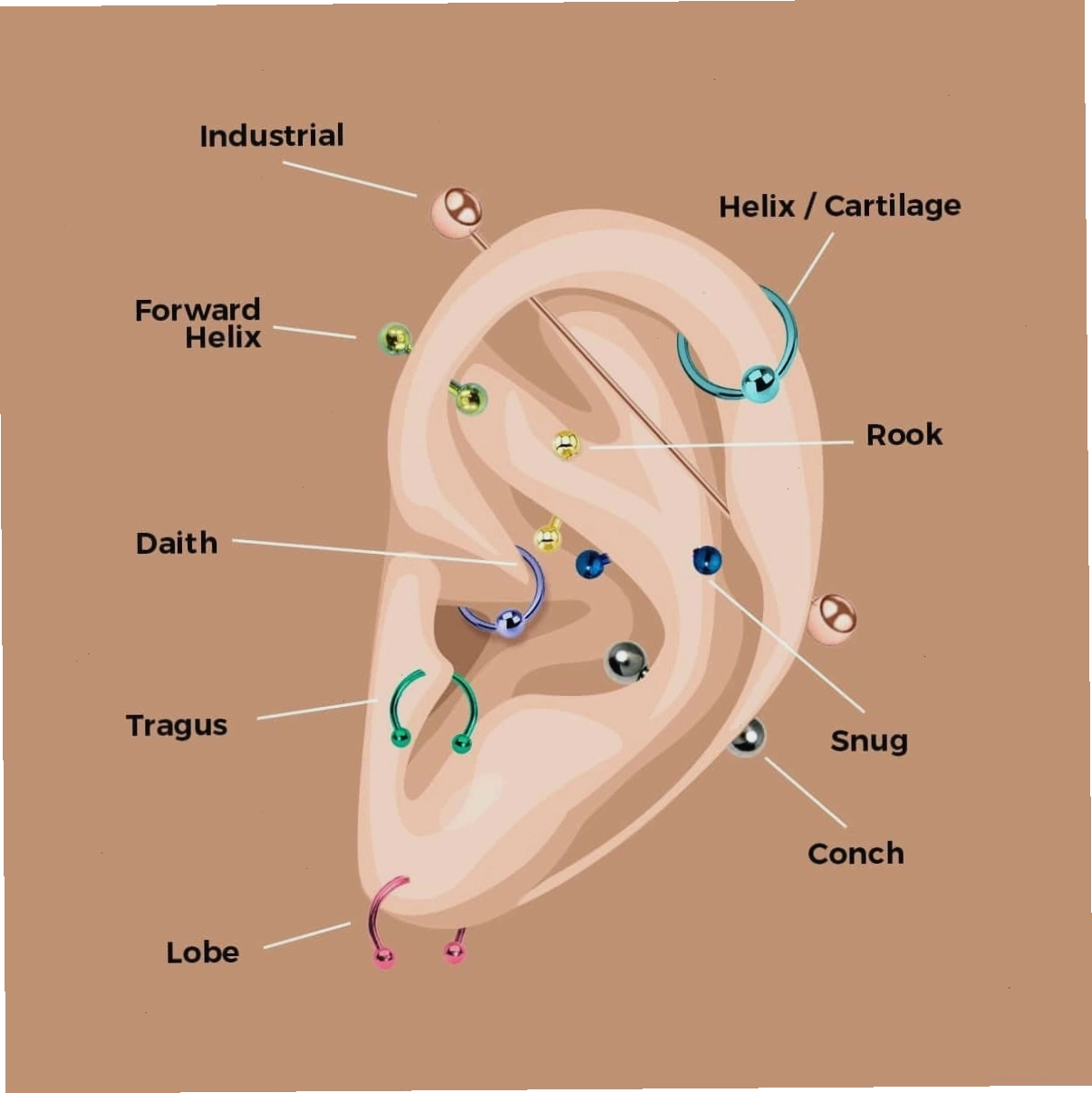 Cận cảnh trang sức xỏ khuyên tai, một trong những loại body piercings phổ biến nhất
