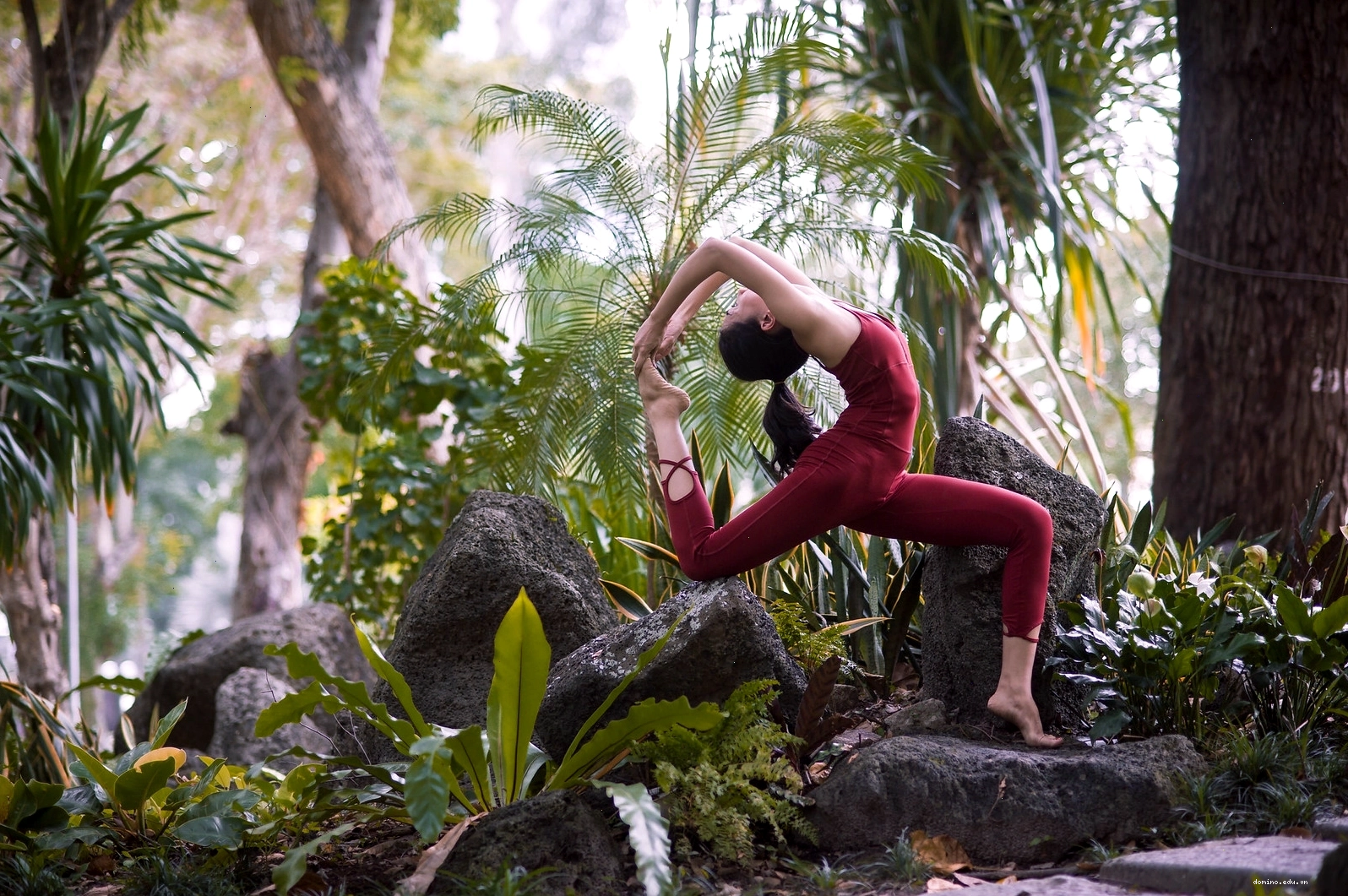 Cảnh chụp yoga nhóm ngoài trời với ánh sáng tự nhiên