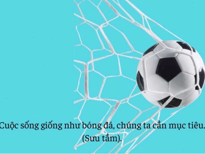 Câu nói truyền cảm hứng về thể thao và sự nỗ lực không ngừng nghỉ