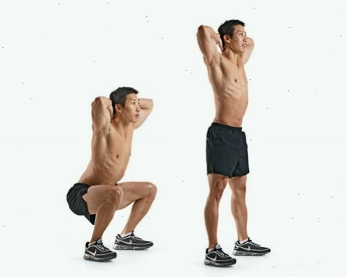 Cấu trúc cơ bắp chân gồm cơ sinh đôi và cơ dép