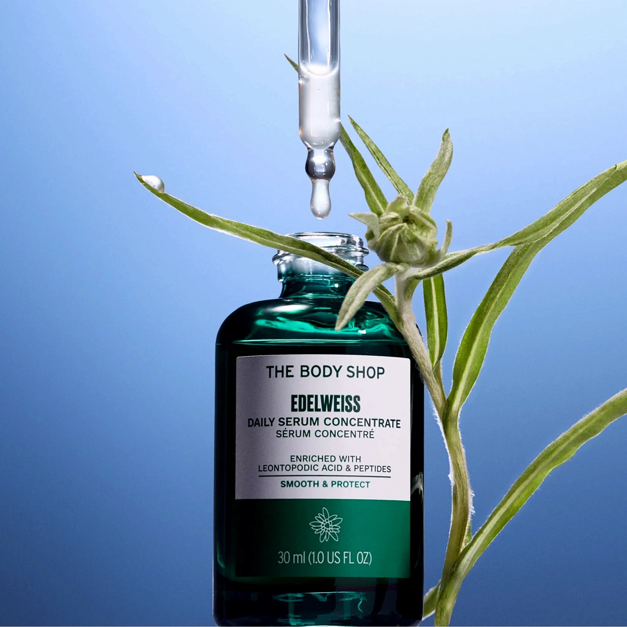 Chai serum The Body Shop Edelweiss trên nền xanh lam với ống nhỏ giọt và lá cây