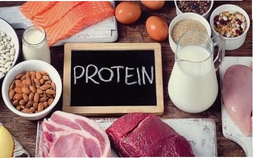 Chế độ ăn giàu protein thúc đẩy quá trình tăng cơ giảm mỡ diễn ra hiệu quả