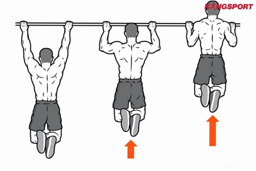 Chế độ ăn giàu protein thúc đẩy quá trình tăng cơ giảm mỡ diễn ra hiệu quả
