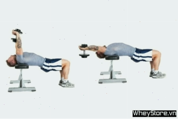 Chest Dip bài tập hiệu quả cho ngực dưới