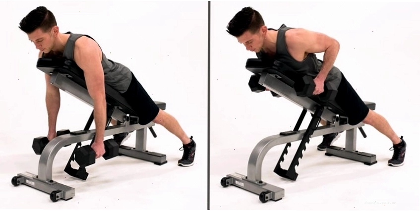 Chest-supported Dumbbell Row - một trong các bài tập lưng xô tại phòng gym được ưa chuộng