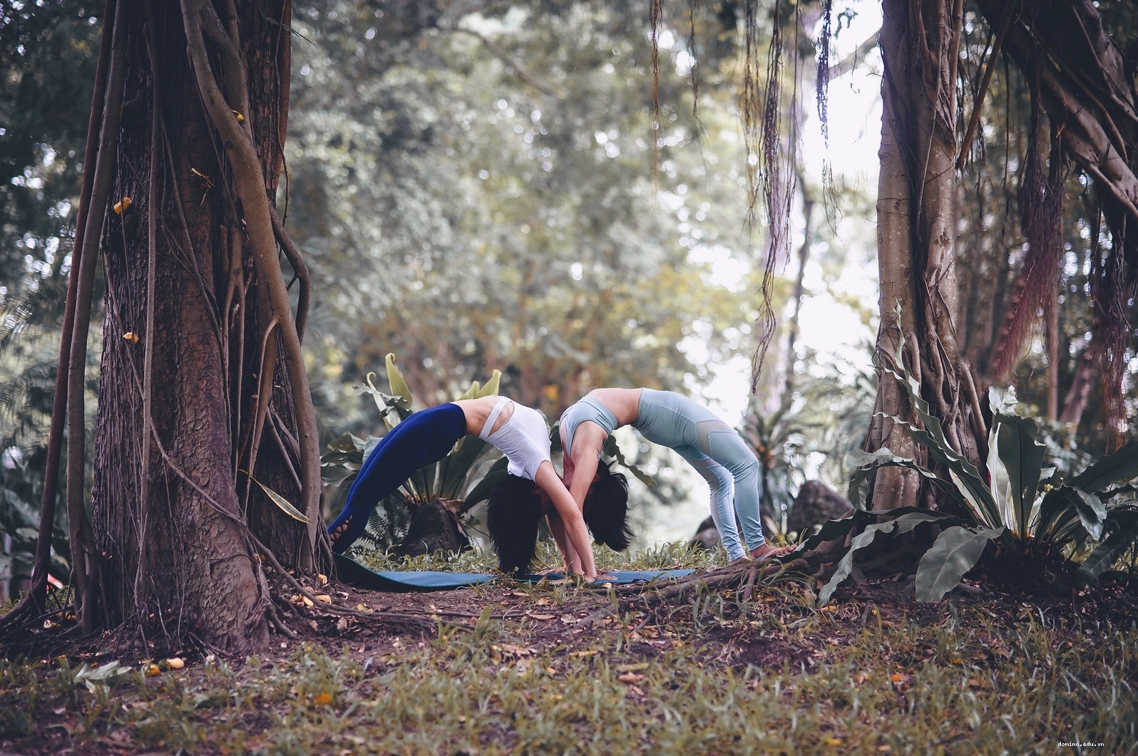 Chi tiết trang phục và đạo cụ trong ảnh yoga nhóm