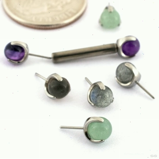 Claw-set Stone Press-fit End in Titanium from People's Jewelry - Trang sức titan đính đá