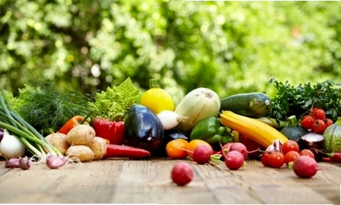 Cơ chế đốt mỡ hiệu quả khi chạy bộ với cường độ phù hợp