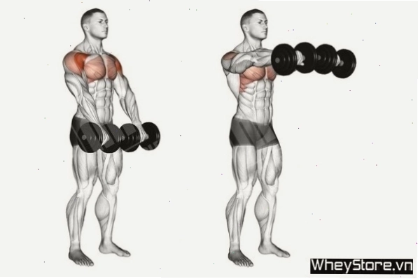 Cơ ngực săn chắc và khỏe mạnh