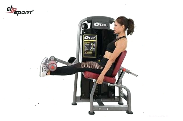 Cửa hàng bán dụng cụ tập gym tại TPHCM với đa dạng sản phẩm